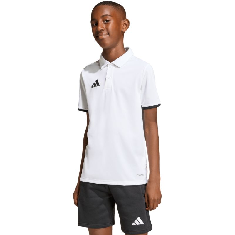adidas Polo Entrada for