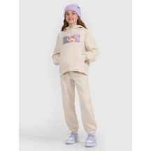 4f Felpa with hood, open,