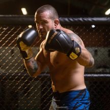 DBX Bushido Guanti Boxing Hammer Legacy Series