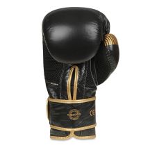 DBX Bushido Guanti Boxing Aureos Valor Series