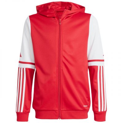 adidas Felpa con cappuccio Squadra