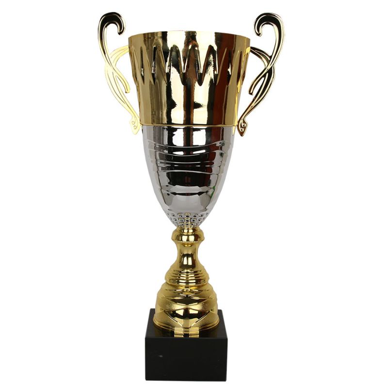 Gold-Silver Metal Trophy