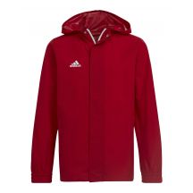 adidas Giacca Entrada All-Weather