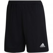 adidas Pantaloncini Entrada Training