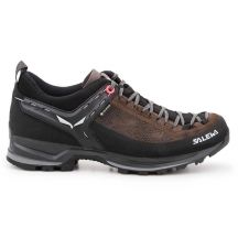 Salewa Scarpe WS MTN Trainer