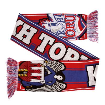 KH Toruń Cappotto City of Arms