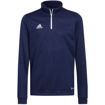 adidas Felpa Entrada Tr Top