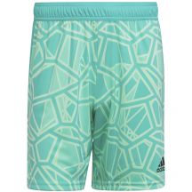 adidas Pantaloncini Condivo goalkeeper