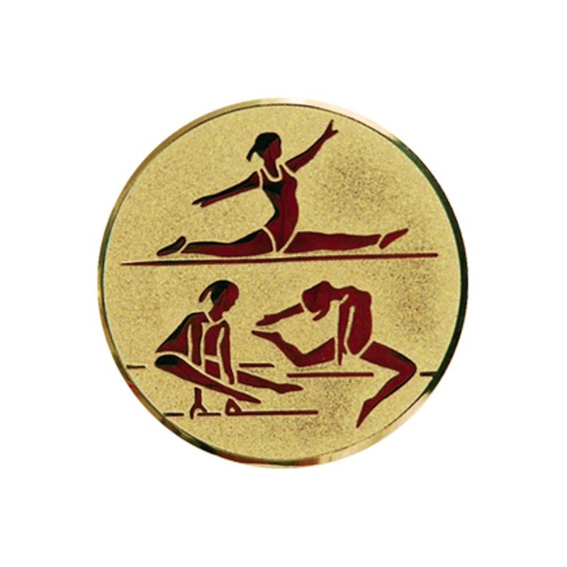 Aluminium insert – women’s gymnastics