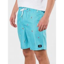 DC Pantaloncini All Season Volley Youth