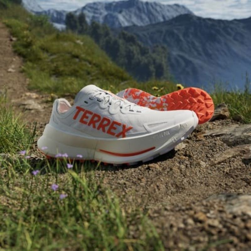 adidas Scarpe terrex Agravic Speed Ultra ftwwht/impora/dshgry