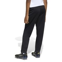 adidas Pantaloni Entrada training