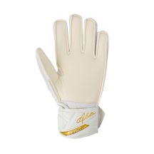 Reusch Guanti Attrakt Solid goalkeeper
