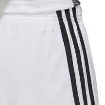 adidas Pantaloncini Tastigo