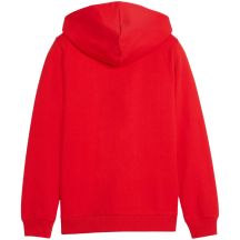 Puma Felpa teamGoal Casuals Hooded