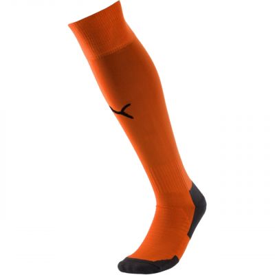 Puma Calze Liga Core