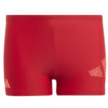 adidas Boxer Bar Log Swim Trunks