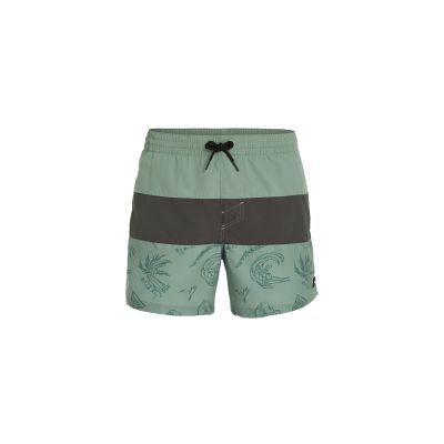 ONeill Pantaloncini O'Neill Mix&Match Cali Block Swim