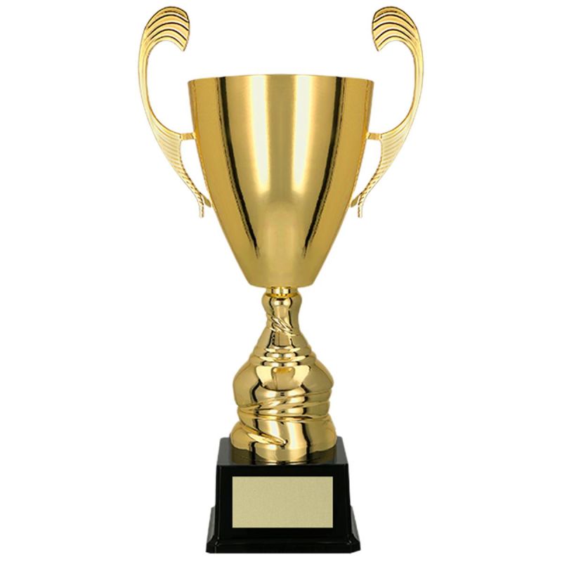 Gold metal cup TS
