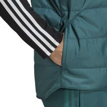 adidas Gilet Juventus Pad