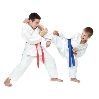 DBX Bushido Cintura Karate for children free DBX BUSHIDO cm