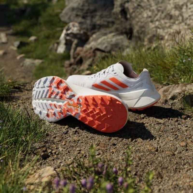 adidas Scarpe terrex Agravic Speed Ultra ftwwht/impora/dshgry