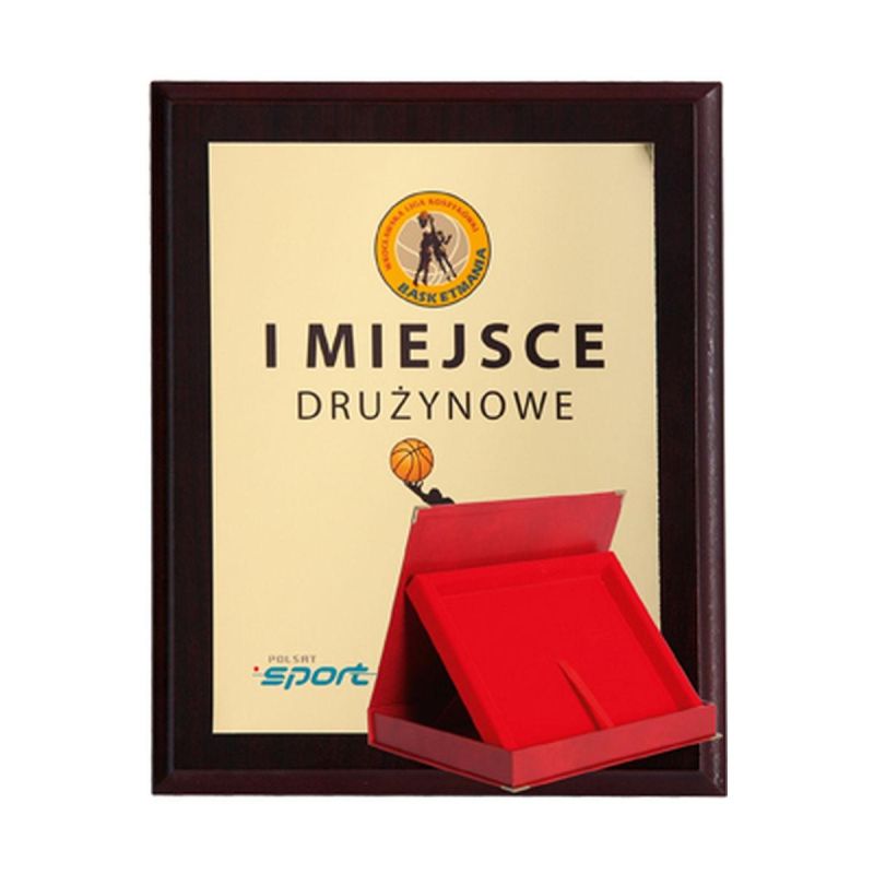 Plastic diploma with color touch laminate + case 355x300 mm