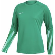 EB Fit Maglia Nike Dri-Fit Park Stadium
