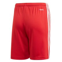 adidas Pantaloncini Squadra Short Youth