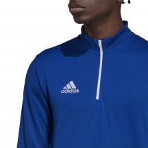 adidas Felpa Entrada training