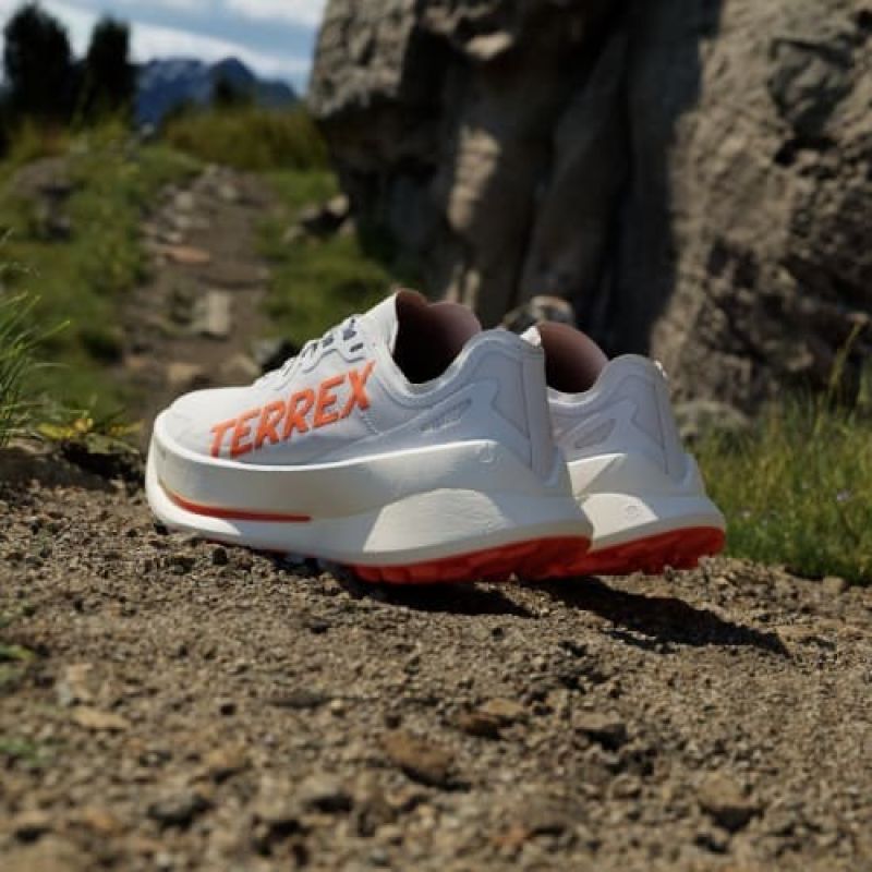 adidas Scarpe terrex Agravic Speed Ultra ftwwht/impora/dshgry