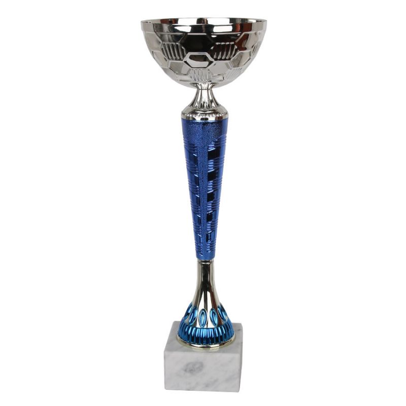 The 1897 Triumph Cup