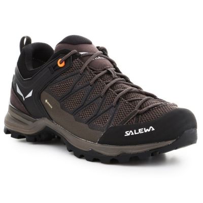 Salewa Scarpe Mtn Trainer Lite GTX trekking