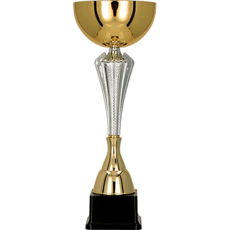 Gold and silver metal cup