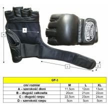 Masters Guanti MMA Masters