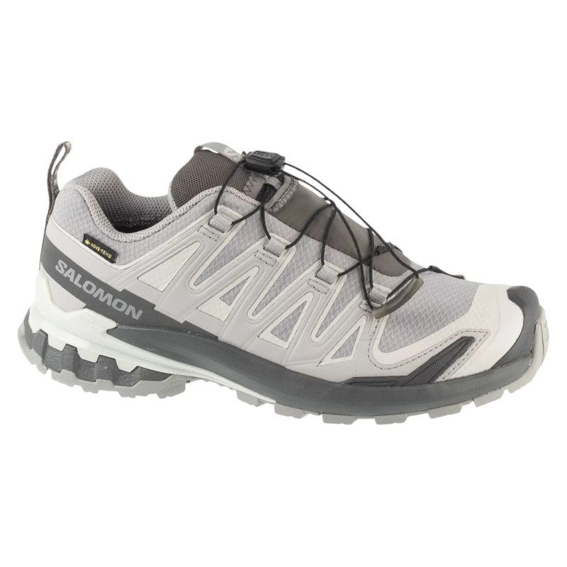 Salomon XA Pro 3D v9 GTX W L45412000 Grey 36 2/3