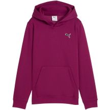 Puma Felpa con cappuccio ESS Elevated FL fuchsia