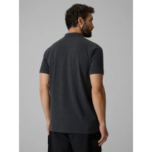 4f Polo regular
