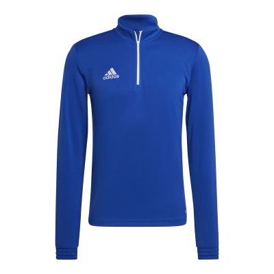 adidas Felpa Entrada training