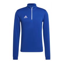 adidas Felpa Entrada training