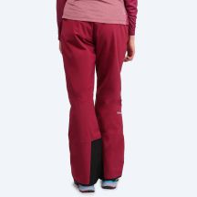 Salewa Pantaloni Antelao Beltovo TWR PNT
