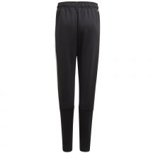 adidas Pantaloni Pt