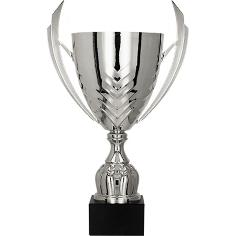 Silver metal cup