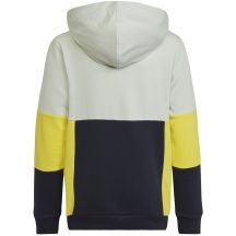 adidas Felpa con cappuccio Colourblock