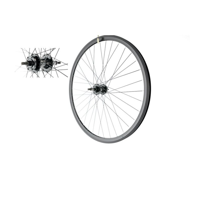 28" Rear Wheel, Freewheel, 6-Bolt Disc, O-Black/P-Black