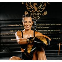 DBX Bushido Guanti Boxing Hawk Origin Series