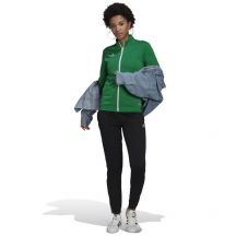 adidas Giacca Entrada Track