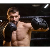 DBX Bushido Guanti Boxing Mono Valor Series