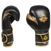 DBX Bushido Guanti Boxing Aureos Valor Series