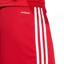 adidas Pantaloncini Squadra